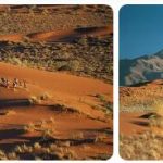 Climate and Weather of Kalahari, Namibia